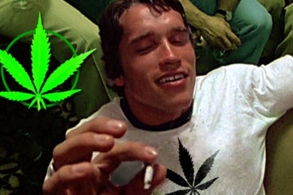 Kraken market зеркала